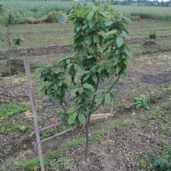 IMG_20160416_185124.jpg