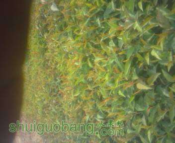 IMG_20160421_075235_0.jpg