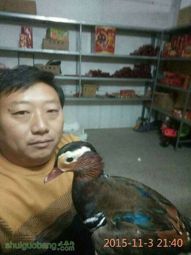 110801y010fs6tjt7w7oz9.jpeg