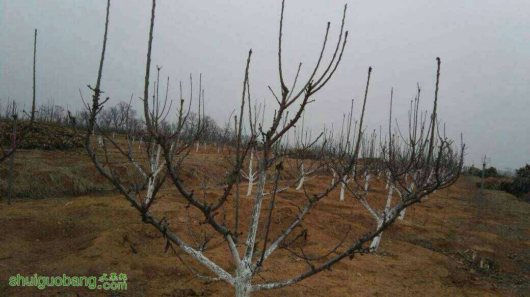 120250yrxozzoojciuwrjo.jpg