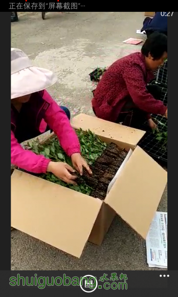 ͷwp_ss_20160423_0006.png