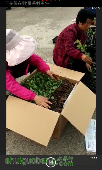ͷwp_ss_20160423_0007.png