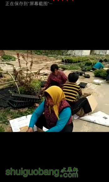 ͷwp_ss_20160423_0011.png