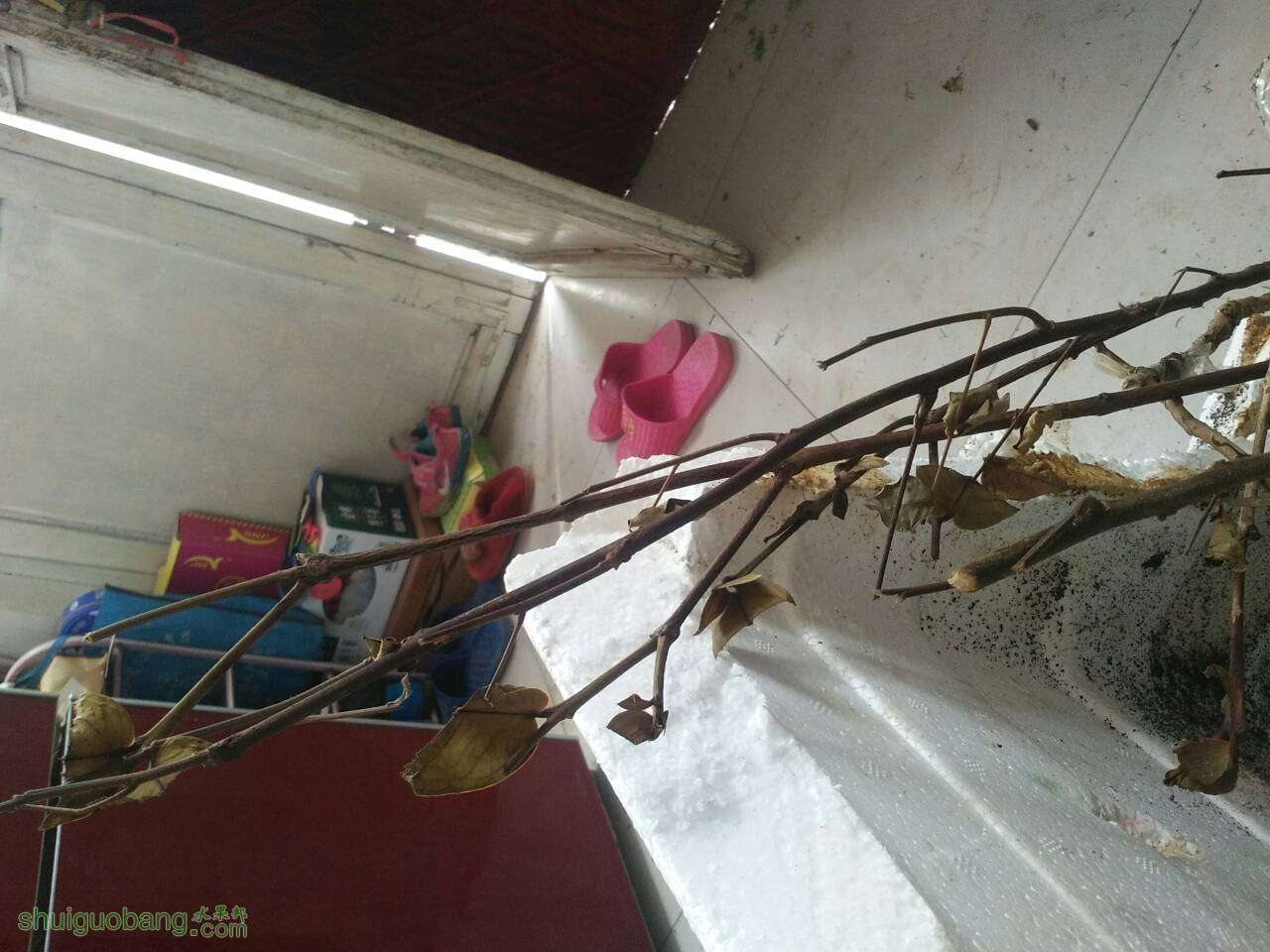 201013jlh2b06huui66066.jpg