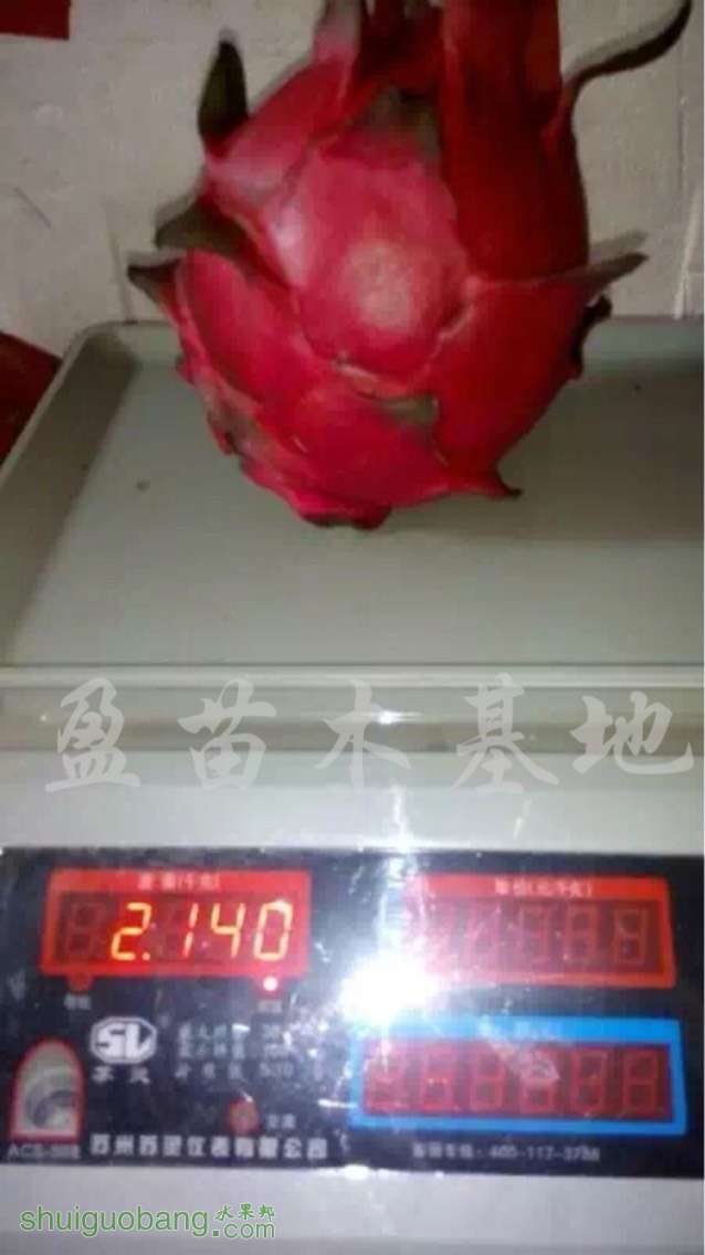 005935zgcckmsggcycis2c.jpg