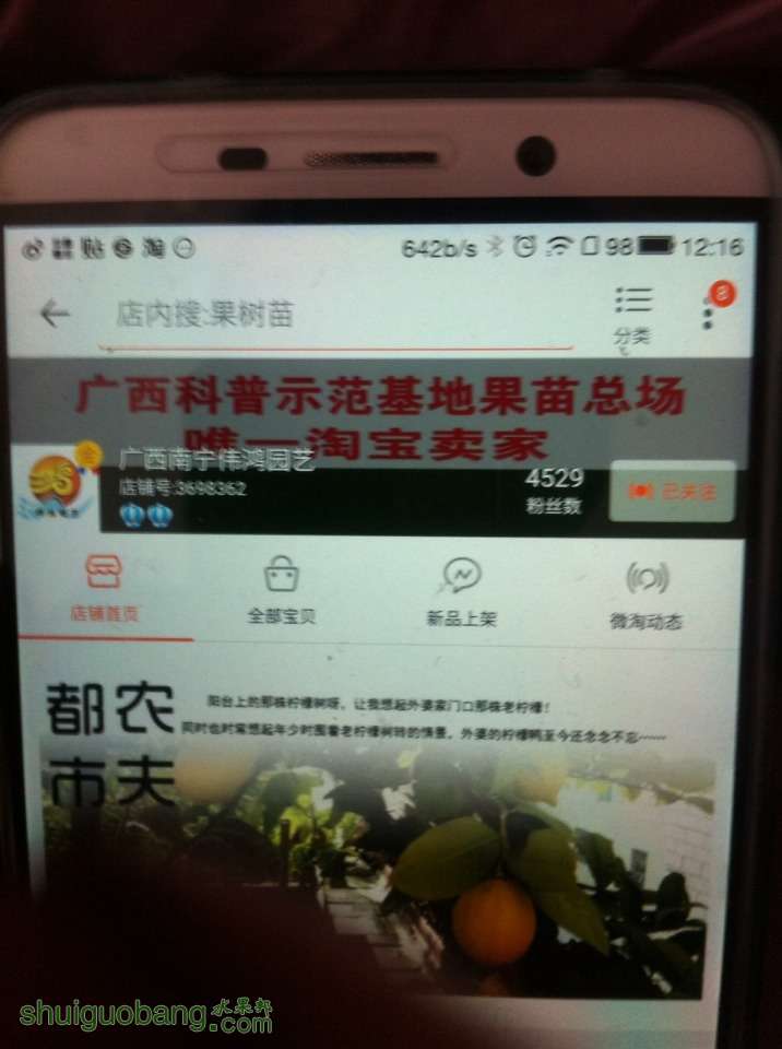 121646bma67qkz9jp4sj9s.jpg