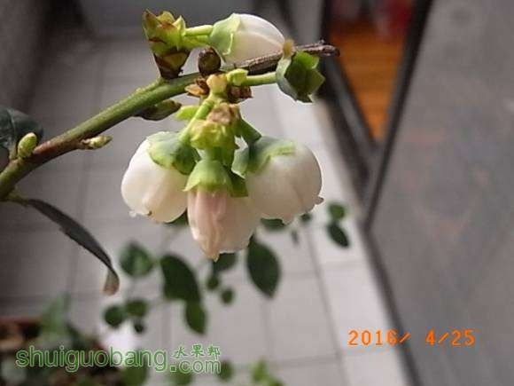 RIMG0727.JPG