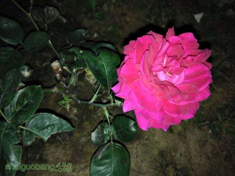 082152ujnktxdflmxfojp9.jpg