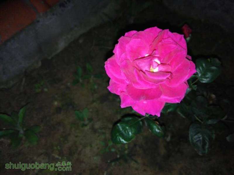 082152wff3zqldjwfo4cqc.jpg