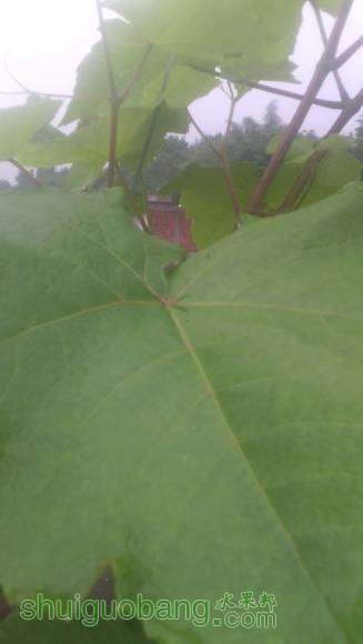 IMG_20160425_083538.jpg