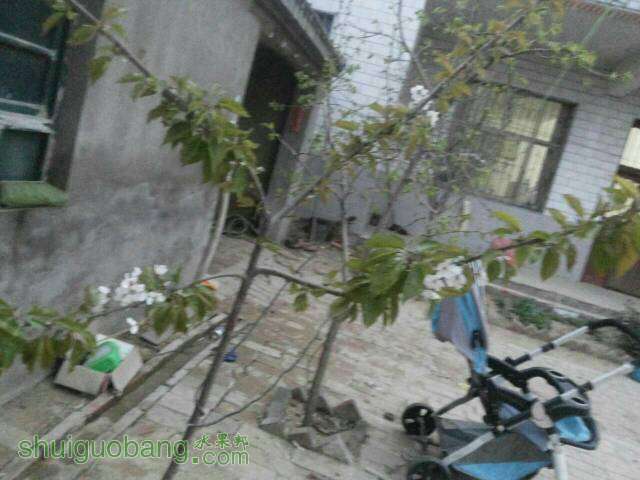 183425ci5o7hib5n17nroz.jpg