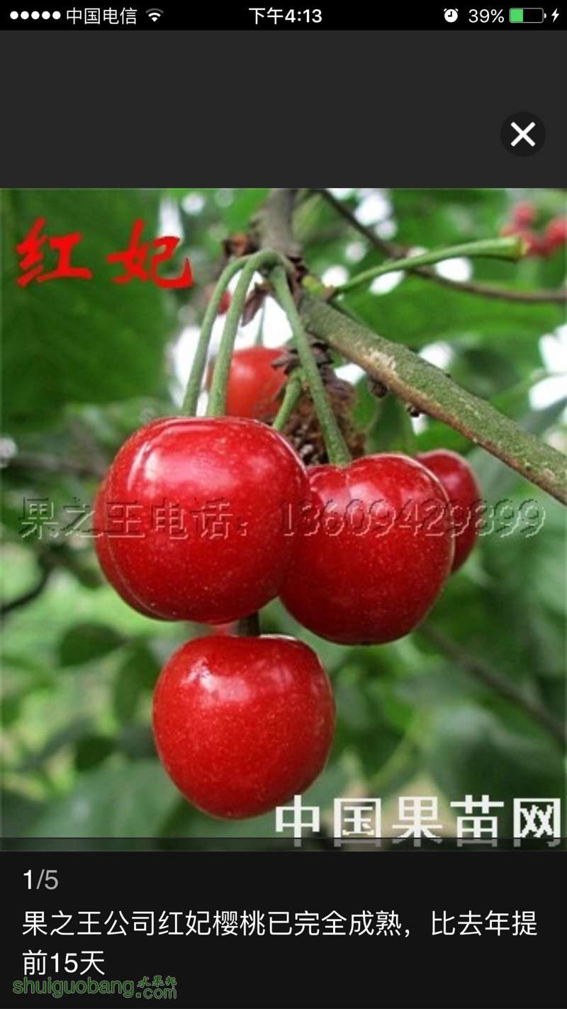 000814gvj9wzx99x0d666l.jpg