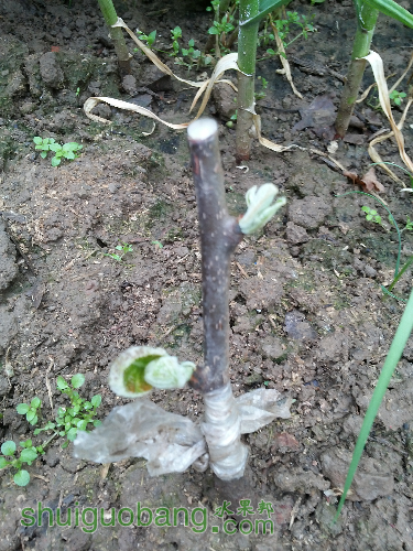 20160426_080811.jpg