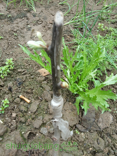 20160426_080758.jpg