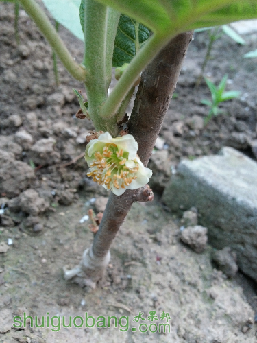 20160422_061107.jpg