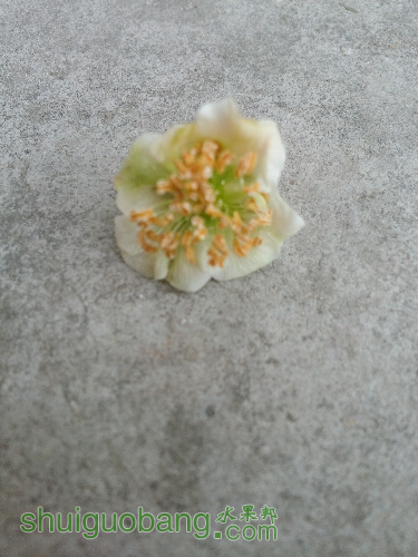 20160422_061257.jpg