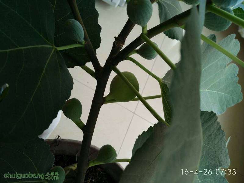 091758qnugukuef3fnuk0q.jpg