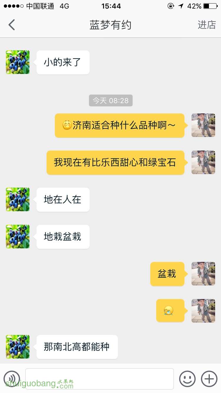154804yopuvxxy35muul1l.jpg