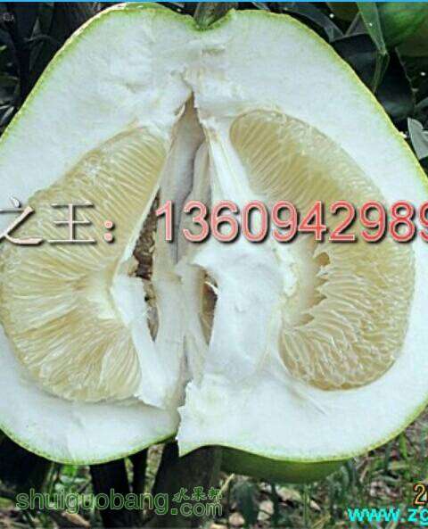 104737qe8u808e88ll9pgp.JPG