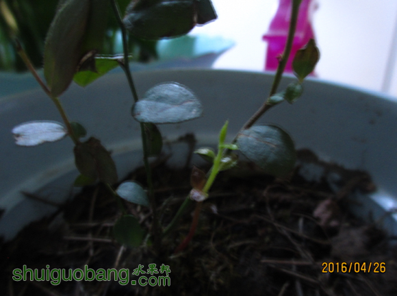 QQͼƬ20160426092916.png