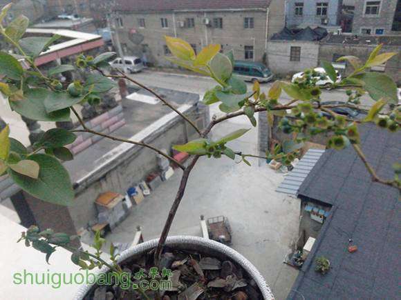 IMG_20160428_072113.jpg