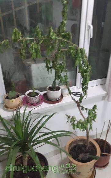 P60429-002339_��ͼ��5.jpg