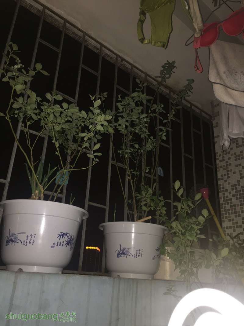 025434hlyqzpjq6yqb3isz.jpg