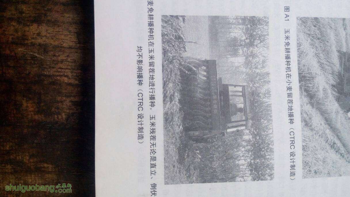 040222yjoimmo446rizirm.jpg