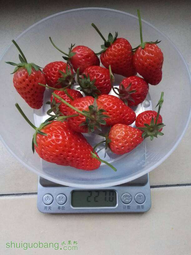 070344qtj3jzdjujzgcj3u.jpg