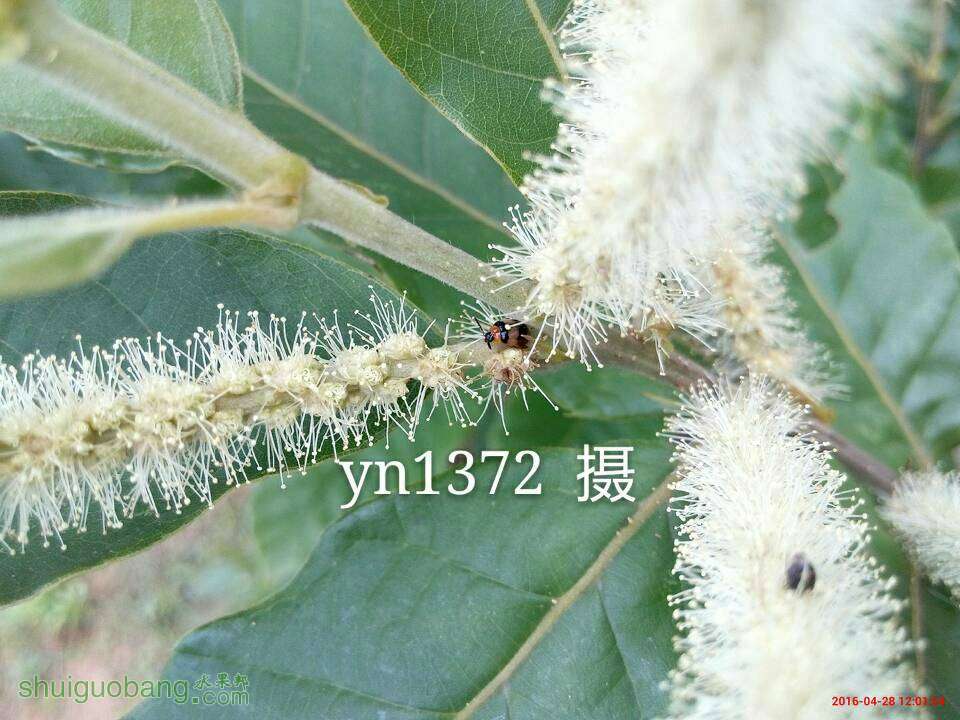 134747eo8vrf84w0zafosv.jpg