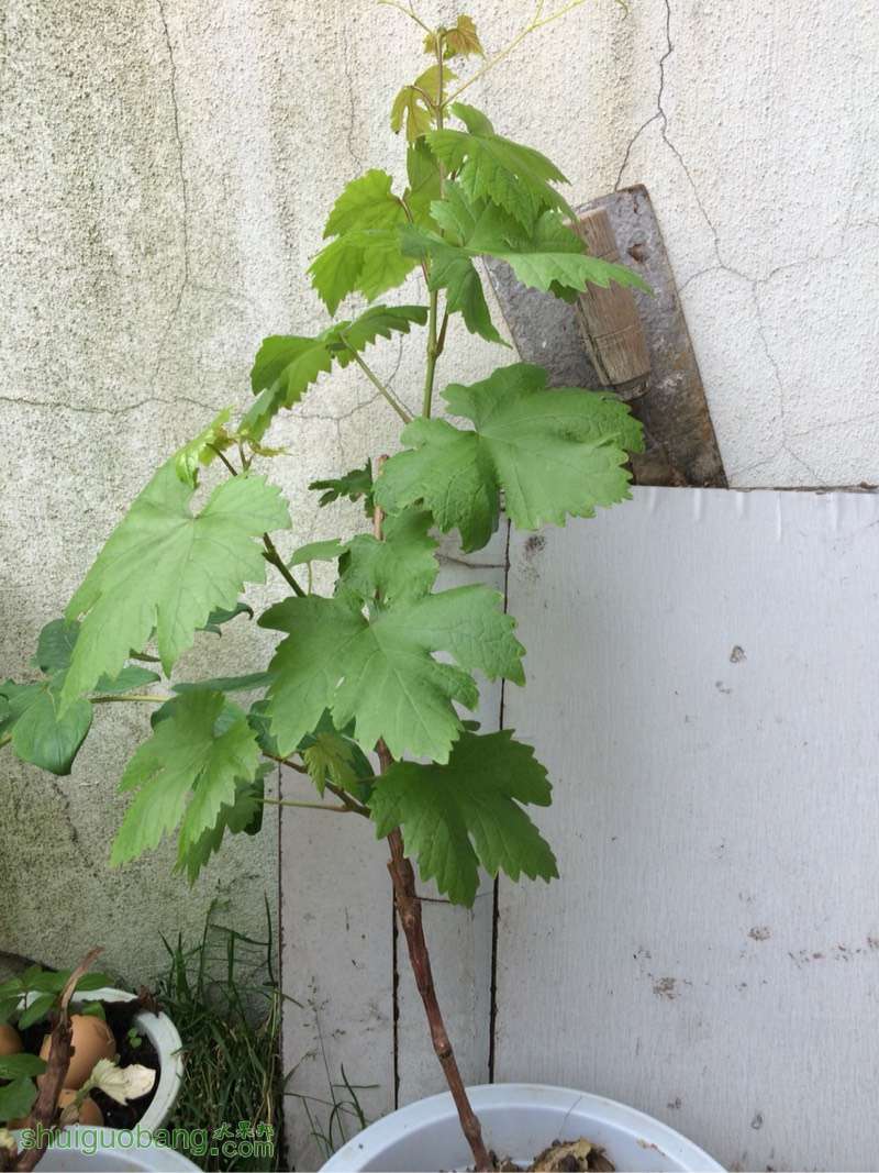 190311dfgqp9sqgeqg3s87.jpg