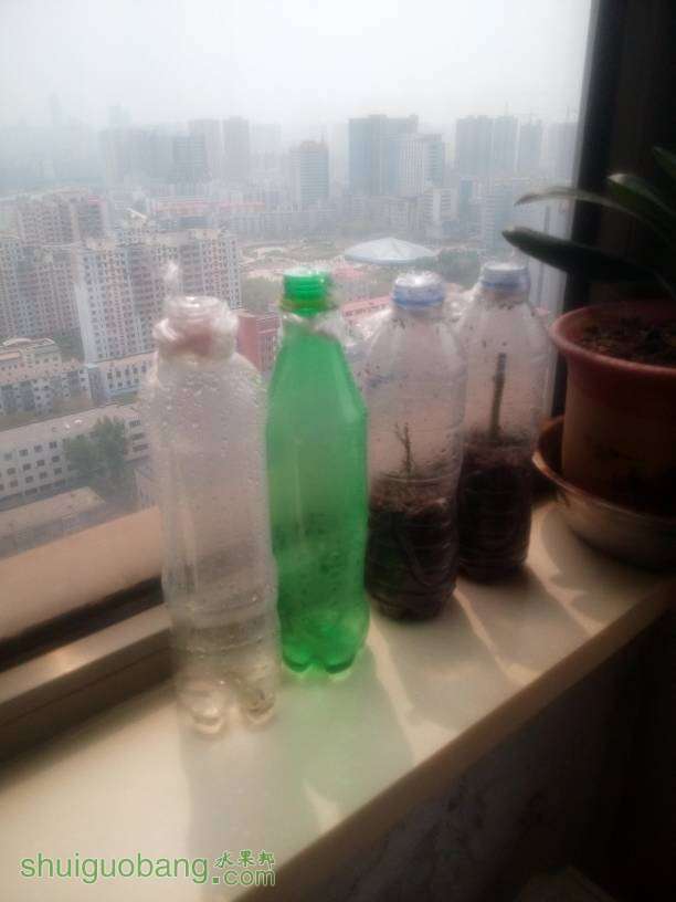 124103fy22848blgylxggg.jpg