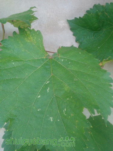 IMG_20160426_125347.jpg