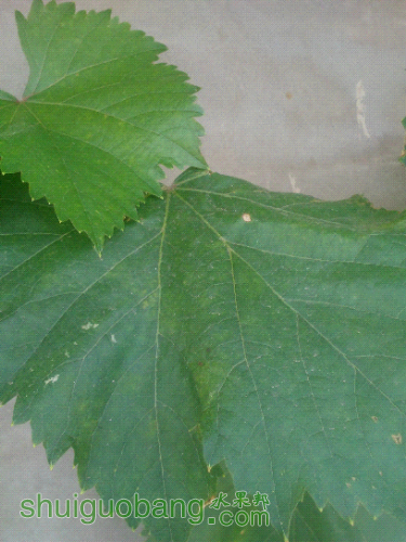IMG_20160426_125354.jpg