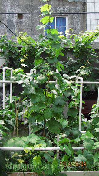 ���� 001.jpg