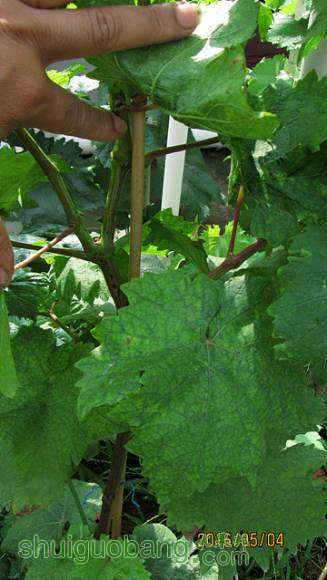 ���� 002.jpg