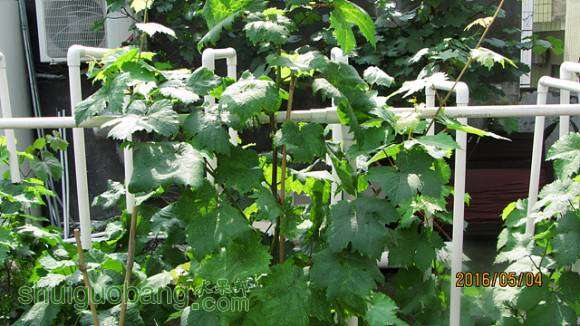 ���� 003.jpg