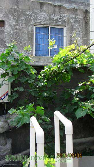 ���� 005.jpg