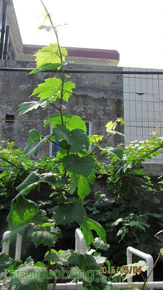 ���� 004.jpg