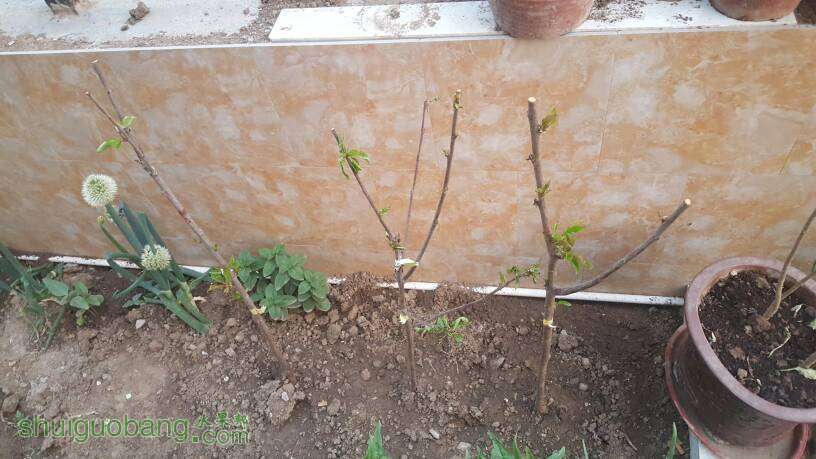 152557ioddu97d7mks9eu1.jpg