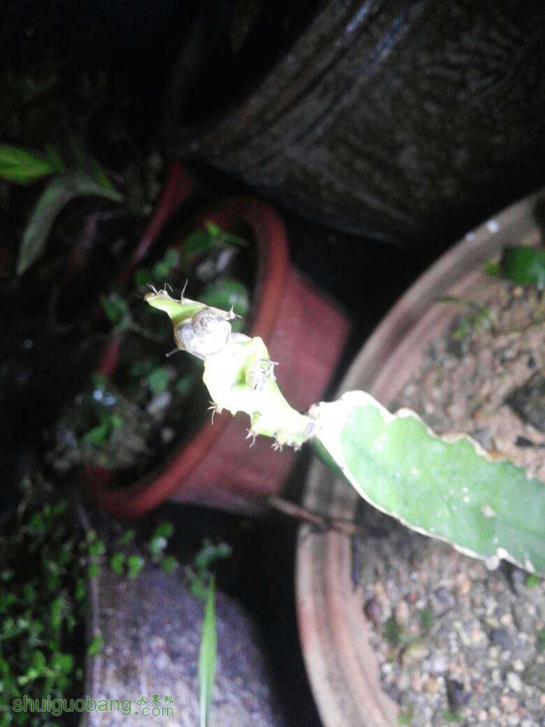 225549yx4hyaatxhvc4axy.jpg