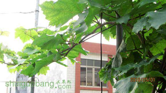 ���� 014.jpg