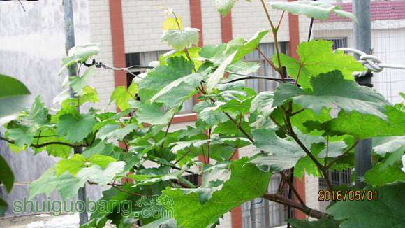 ���� 015.jpg