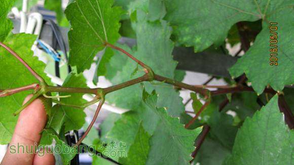 ���� 016.jpg