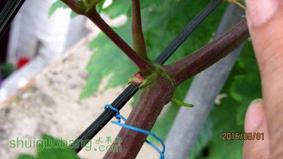 ���� 017.jpg