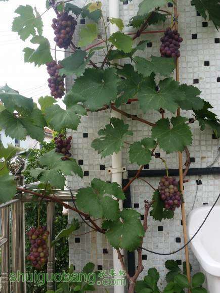 20150718_103147.jpg