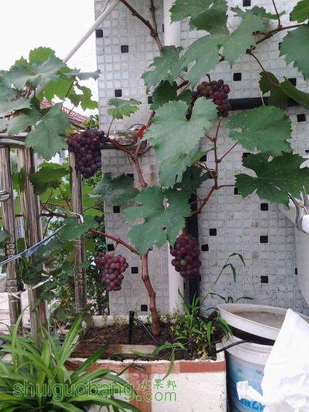 20140713_153553.jpg