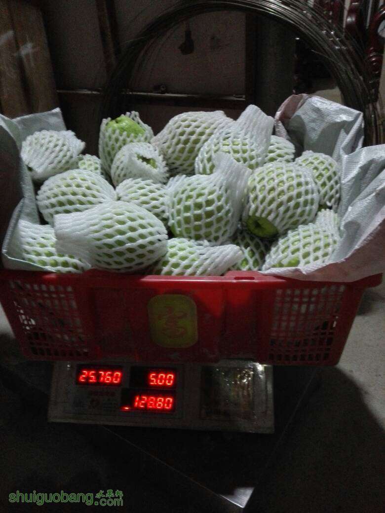 224524om9m2mby5323kzts.jpg