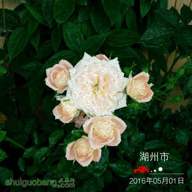 053721z477xs1ox3fud1ef.jpg