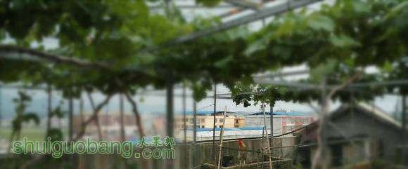 IMG_20160506_173157.jpg